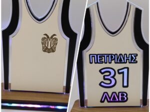 ΦΩΤΙΣΤΙΚΟ ΦΑΝΕΛΑ ΜΠΑΣΚΕΤ