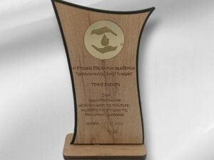 ΑΝΑΜΝΗΣΤΙΚΟ ΑΙΜΟΔΟΣΙΑΣ